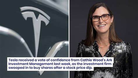 Cathie Wood's Ark Doubles Down On Tesla Despite Dip, But Dumps $56M In This Bitcoin-Linked Stock Amid Crypto Cooldown - Markets Insider