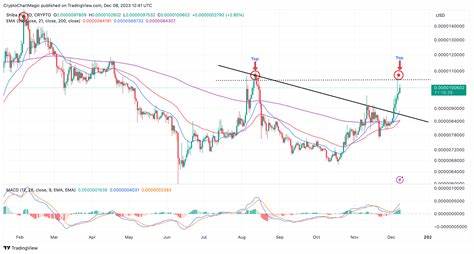 Shiba Inu Price Prediction: Will SHIB Surge 19% This Weekend? - CoinGape