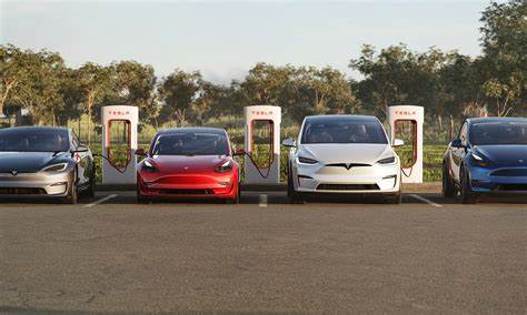 Should You Buy Tesla Stock With $1,000 and Hold for 20 Years?
