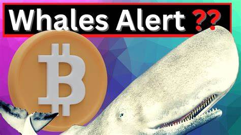 Bitcoin Whales Accumulating as BTC Price Rebounds To $67K - The Coin Republic