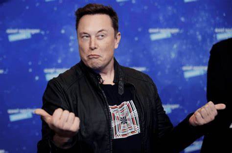 StopElon, the cryptocurrency of Elon Musk’s haters - The Cryptonomist
