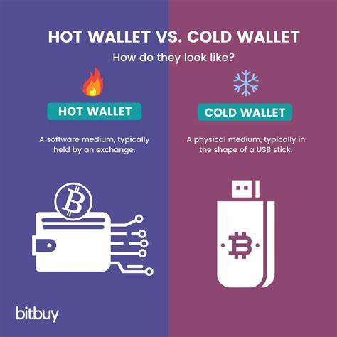 This Cryptocurrency ICO Fixes Web3’s Surveillance Problem: Cold Wallet May Deliver 100x Gains