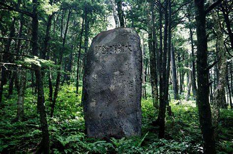 Tsunami Stone