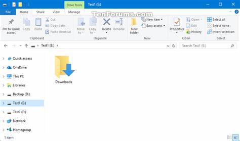 Show HN: Downloads Director – Auto-organize your Downloads folder by file type