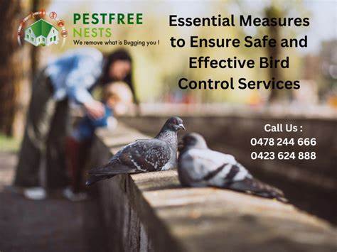 Safe, Humane, and Effective Bird Control