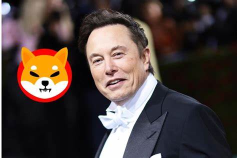 Elon Musk’s Grok Says SHIB Will Trade At This Price On January 31, 2025 - Times Tabloid