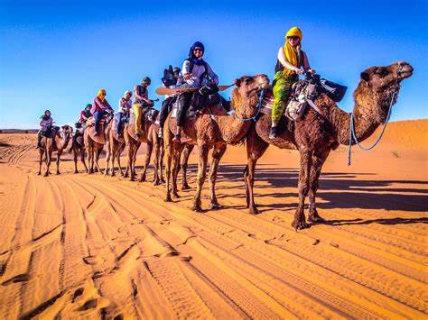 Embark on a camel trek adventure in Morocco's Sahara Desert