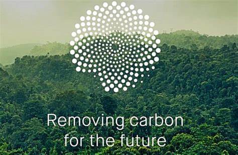 Google, Microsoft, Meta, And McLaren Back Mombak's $30M Amazon Reforestation Push, Targeting $600M In Carbon Credit Deals By 2025