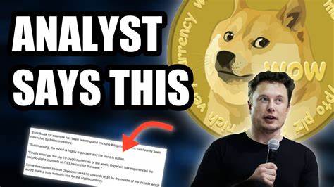 Analyst dismisses the potential of Dogecoin: Rexas Finance is the next crypto - The Cryptonomist