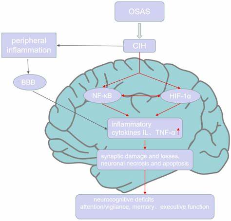 Sleep apnea and memory impairments: clinical aspects, treatment, and mechanisms