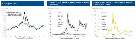 Goldman Sachs lists 5 reasons why bitcoin is 'not an asset class', nor 'a suitable investment' - Markets Insider