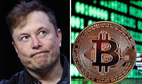Elon Musk's Bitcoin investment ripped to pieces: 'It could have gone either way!' - Express