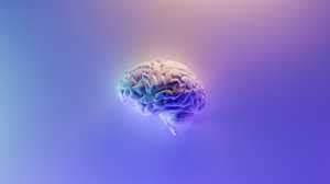 Neurohacks to outsmart stress and make better cybersecurity decisions