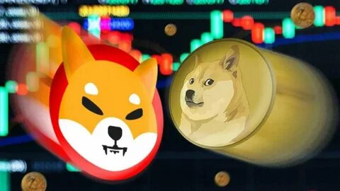 Dogecoin And Shiba Inu Sink 7%, But Year's Best-Performing Cat-Themed Crypto, Popcat, Keeps Head Above Water - Benzinga