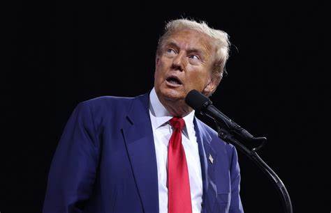 Donald Trump's New Crypto Project World Liberty Financial: Everything You Need To Know