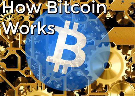 Understanding Bitcoin Value: Essential Insights - Coin Culture