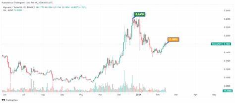Algorand Users Surge 250% in Six Months as Bull Run Kicks In - The Crypto Basic