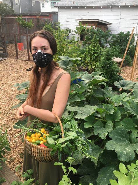 Homesteader Conversations: Urban Farming, Bitcoin And The Future Of Self Sovereignty - Bitcoin Magazine
