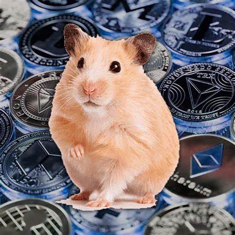 Crypto's Hamster Obsession Gets a New Fix: Betting on Rodent Car Races - Decrypt