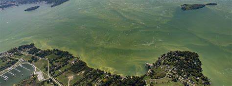 Trump Decimates NOAA Lab Protecting Great Lakes from Toxic Algae Blooms