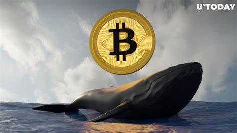 Ancient Bitcoin Whale Transfers $3.6 Million to Kraken Ahead of Nakamoto Face Reveal