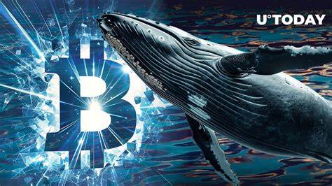 Satoshi-Era Bitcoin Whale Who Mined Millions Just One Month After Its Launch Moves BTC To Kraken - ZyCrypto