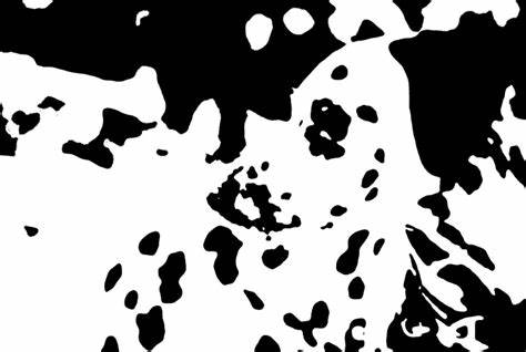 The Science of Belief: a deep dive
