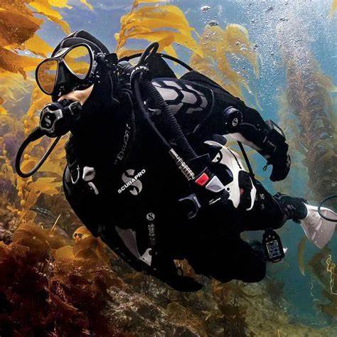 QR Dive | Generate QR codes and track visitors