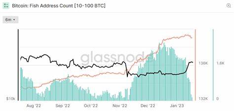 Bitcoin Whales Show Confidence in Latest Rally as They Refuse to Sell, On-Chain Data Reveals - Cryptonews