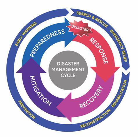 The Disaster Cycle [video]