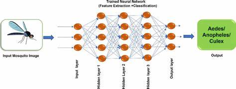 What mosquitoes taught me about algorithm design