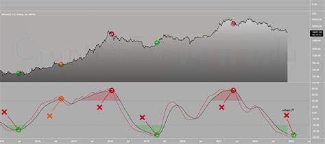 Key Indicator Signals DCA Opportunity Amid Bitcoin Buyer Momentum - TradingView