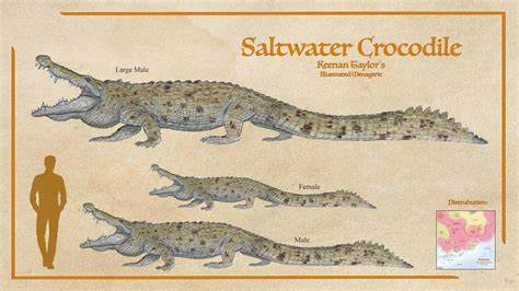 Gustave (Crocodile)