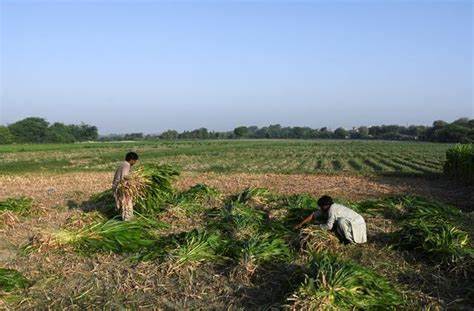 Panic in Pakistan as India vows to cut off water supply over Kashmir