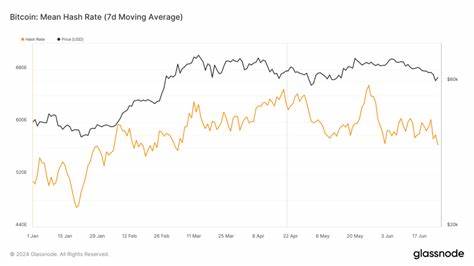 Hash rate fluctuations in 2024 highlight Bitcoin’s miner resilience and market forces - CryptoSlate