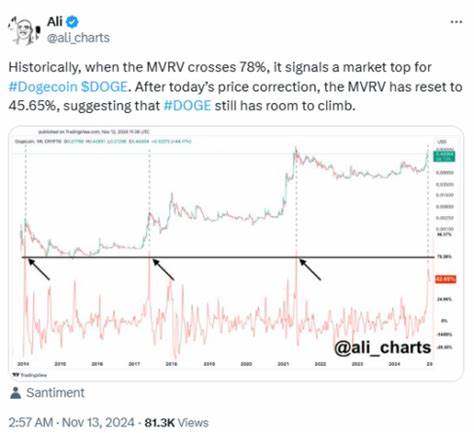 Dogecoin Predicted to Rally 40% | PlayDoge P2E Meme Coin Emerges - Techpoint Africa