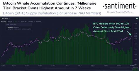 Bitcoin and Ethereum whale activity declines 50% while BTC, ETH accumulation continues