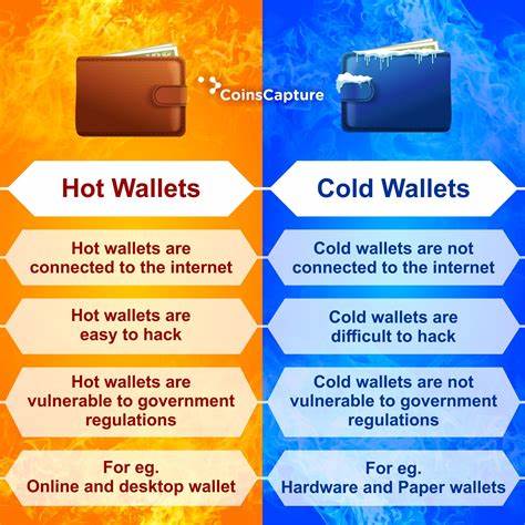 Hot Wallet Vergleich 2025