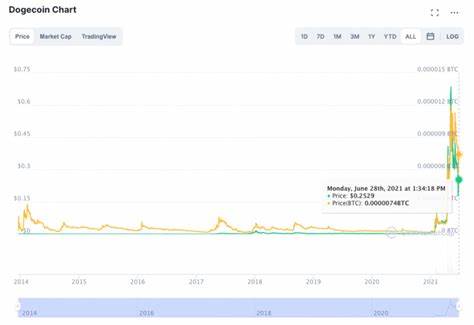 Dogecoin Price Prediction 2024-2030 - YouHodler.com