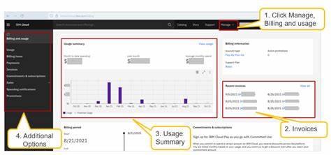 Stop Uncapped Cloud Billing