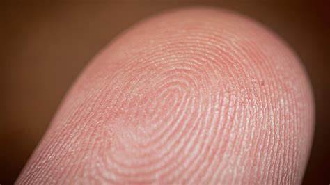 We have reached the "severed fingers and abductions" stage of crypto revolution