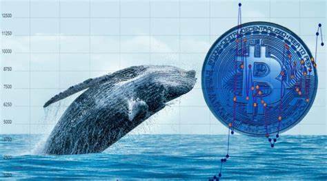 Whales Powers Q4 Surge: Render, NEIRO, and Lunex Token Set for Big Gains - Analytics Insight