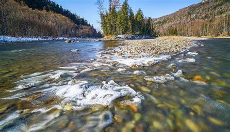 Daily Update: New freshwater wetlands regulations on the way