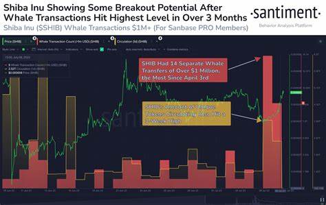 'Dogecoin Killer' Shiba Inu's Burn Rate And Whale Transactions Are Surging: What Is Going On?