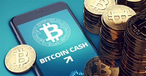 Bitcoin Cash kaufen: Diese Krypto Börsen sind seriös