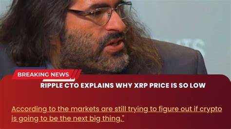 Ripple CTO Explains XRP Ledger's Recent Failure - Binance