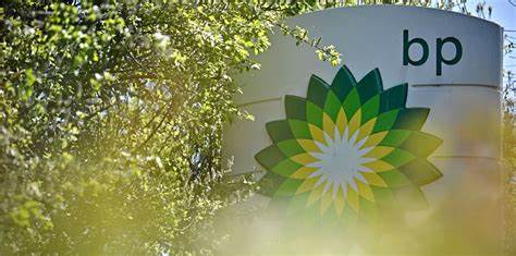 BP green energy chief to exit as it retreats from low-carbon investments