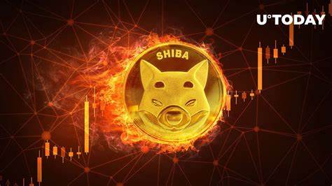 Shiba Inu (SHIB) Surpasses Bitcoin (BTC) and Ethereum (ETH) in This Key Metric: Details