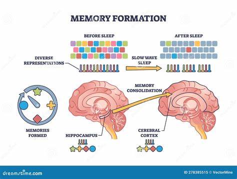 Parallel processing of past and future memories during sleep