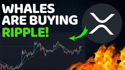 Get Ready: XRP Could Hit $40 Soon – Analyst Highlights Major Bullish Setup - Cryptonews